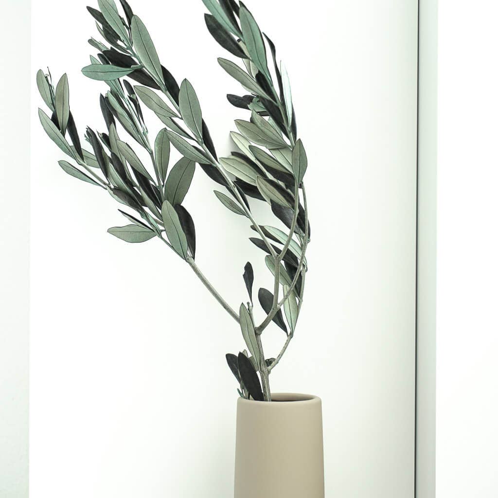 Olive Branches, Bunch. Preserved. Real greenery
