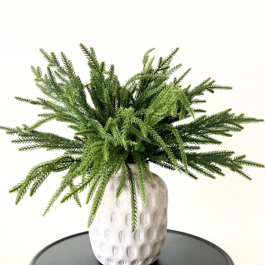 Faux Norfolk Pine Branches, Bunch