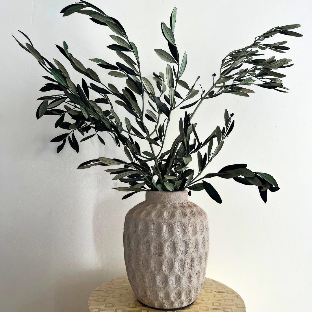 Olive Branches, Bunch. Preserved. Real greenery