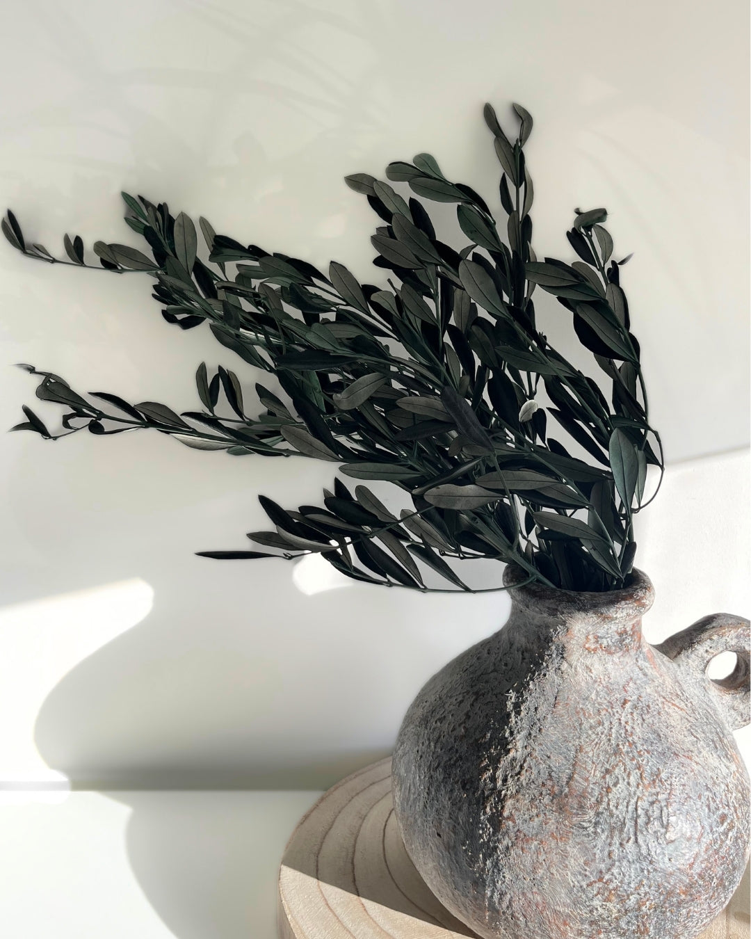 Decorative terracota vase with green olive branches on a white background