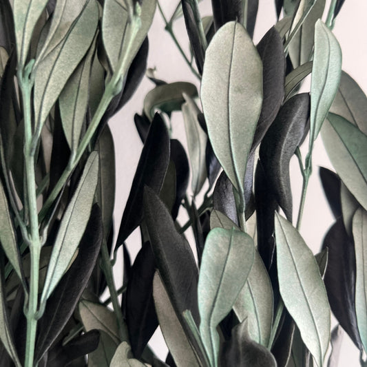 Preserved Italian Olive Branches (Bunch)