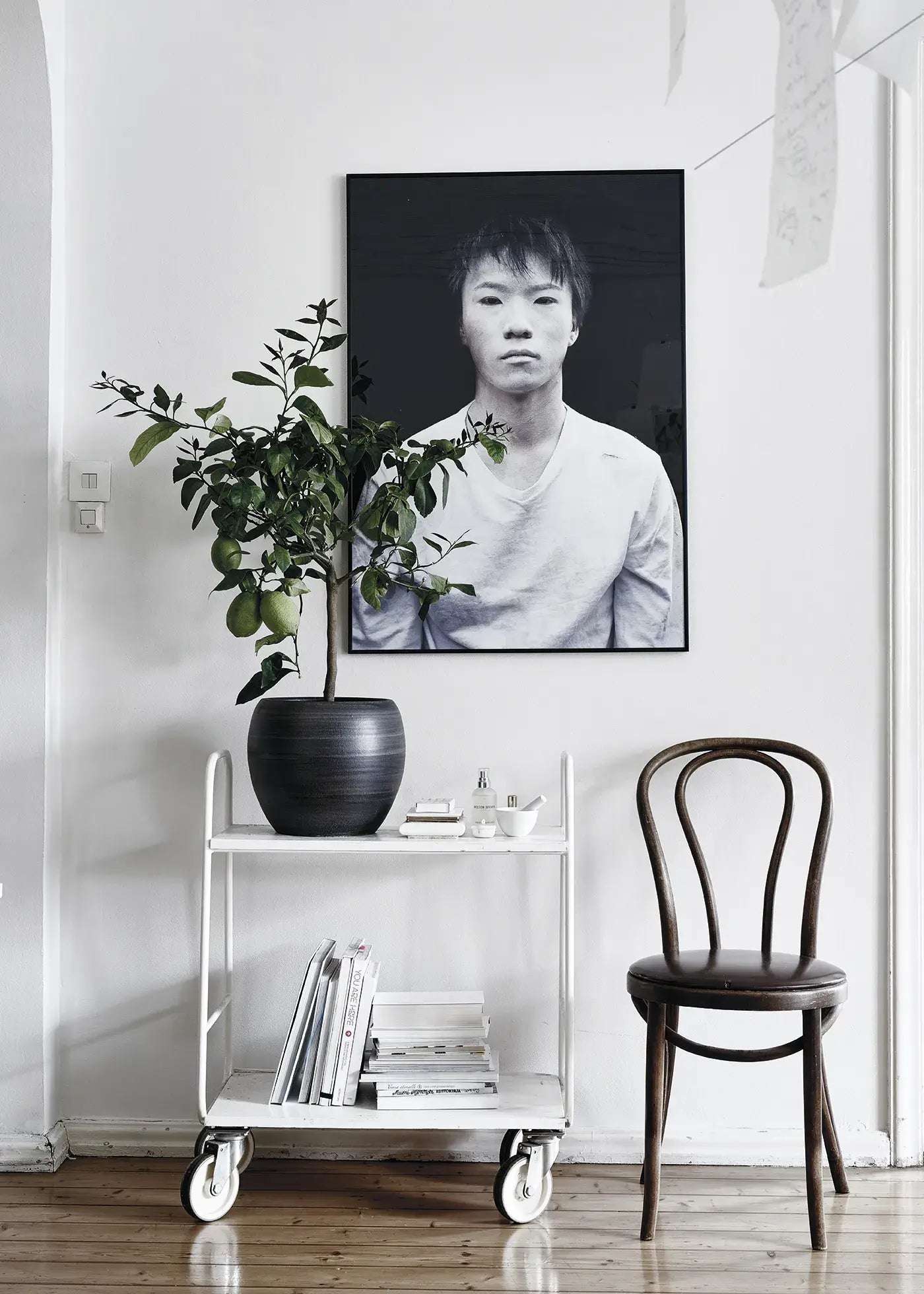 Table Book “Green Home Book”