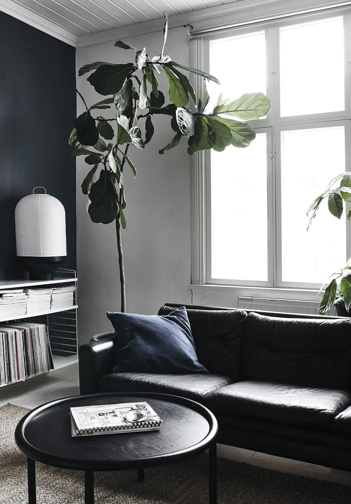 Table Book “Green Home Book”