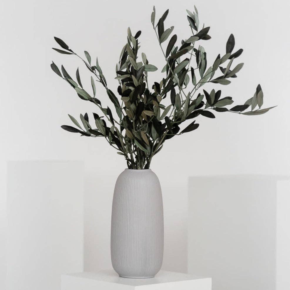 Olive Branches, Bunch. Preserved. Real greenery