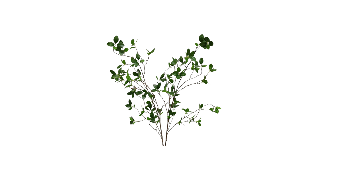 Botanicals