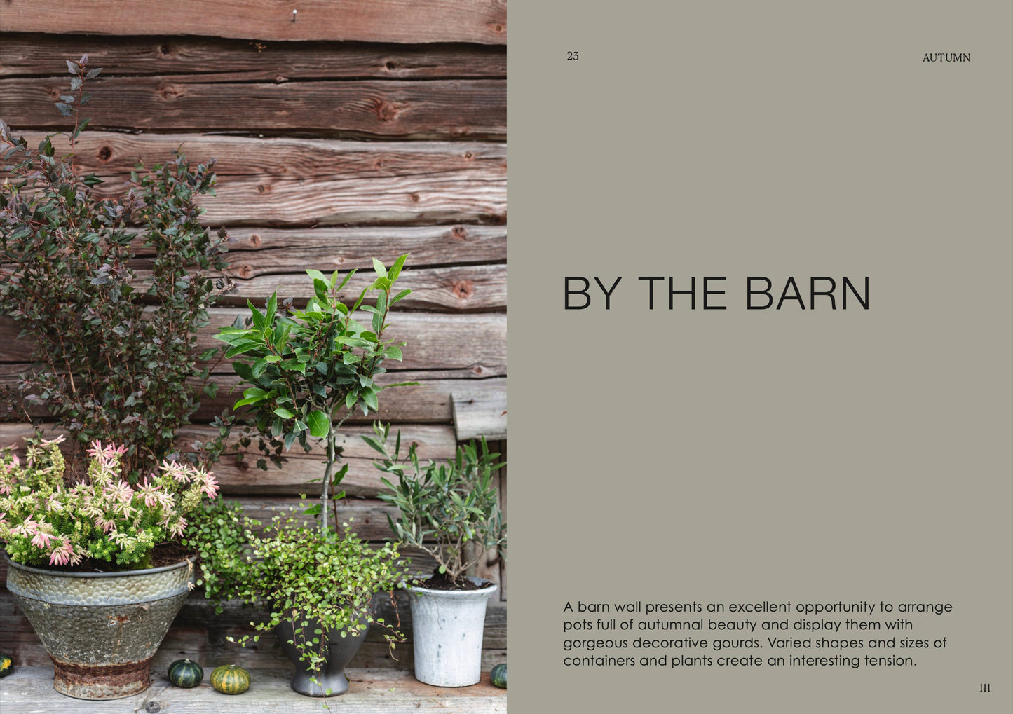 Potted plants against a wooden barn wall with text 'By the Barn'.