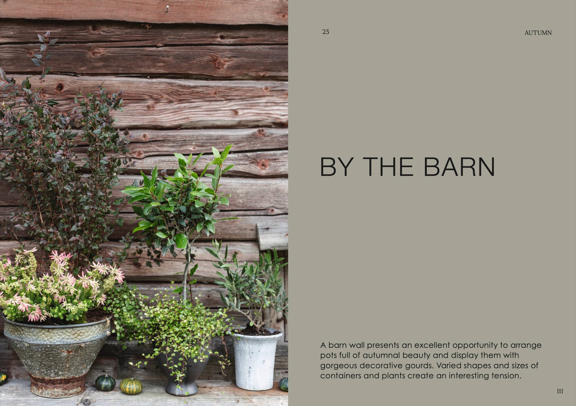Potted plants against a wooden barn wall with text 'By the Barn'.