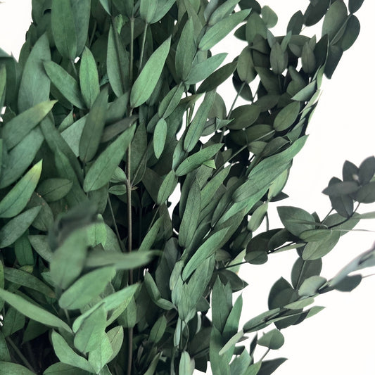 Preserved Green Eucalyptus Bunch