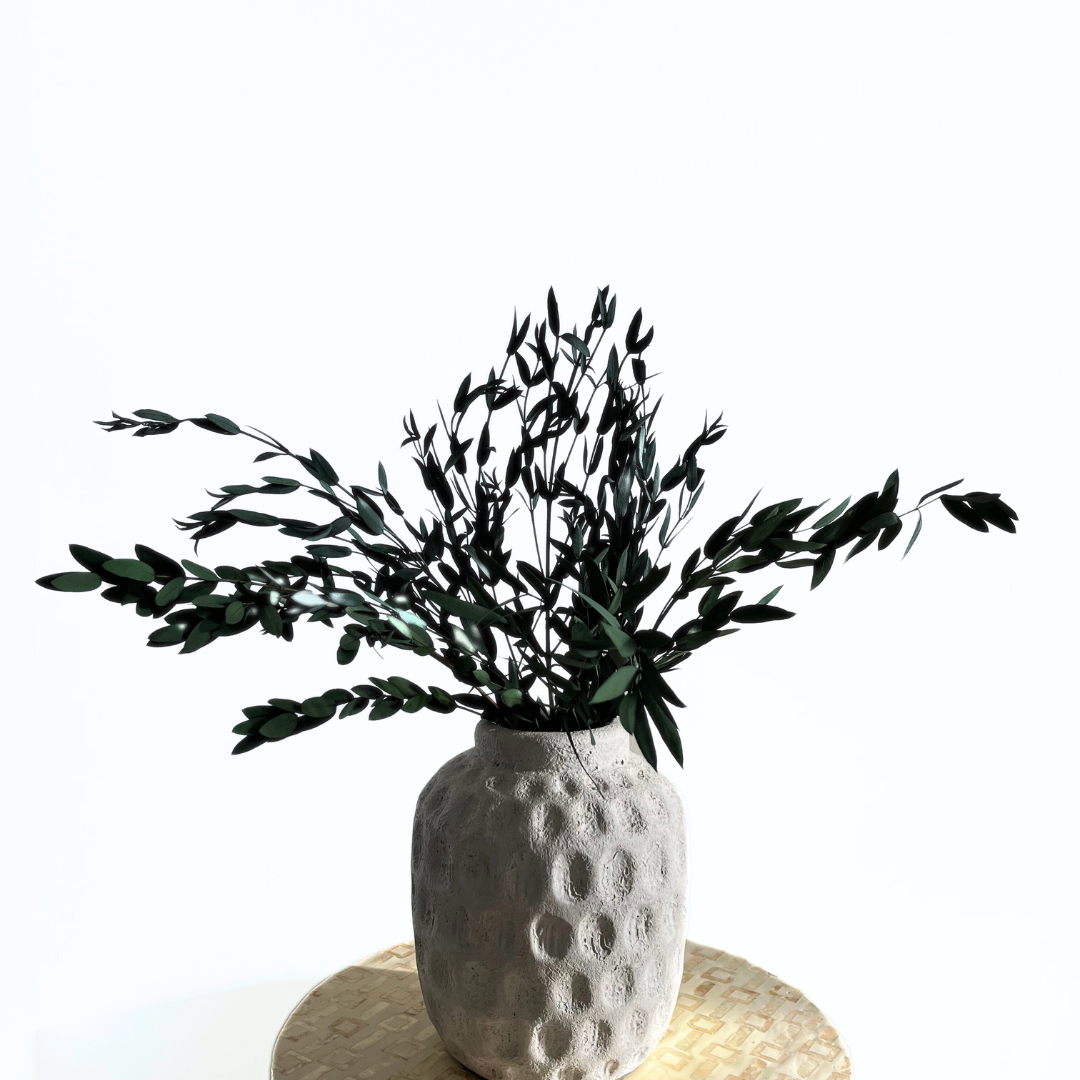 Preserved Green Eucalyptus, Bunch