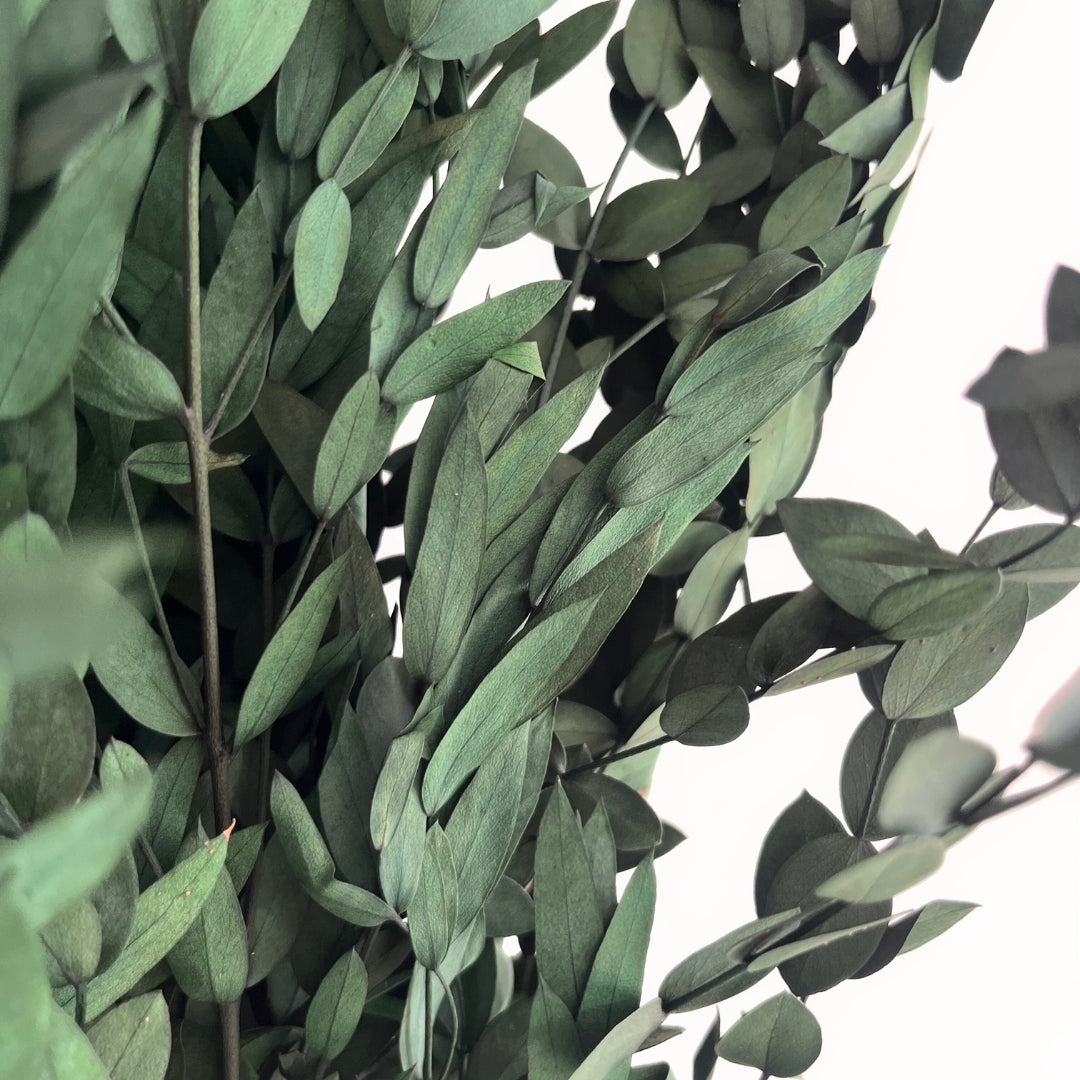 Preserved Green Eucalyptus Bunch
