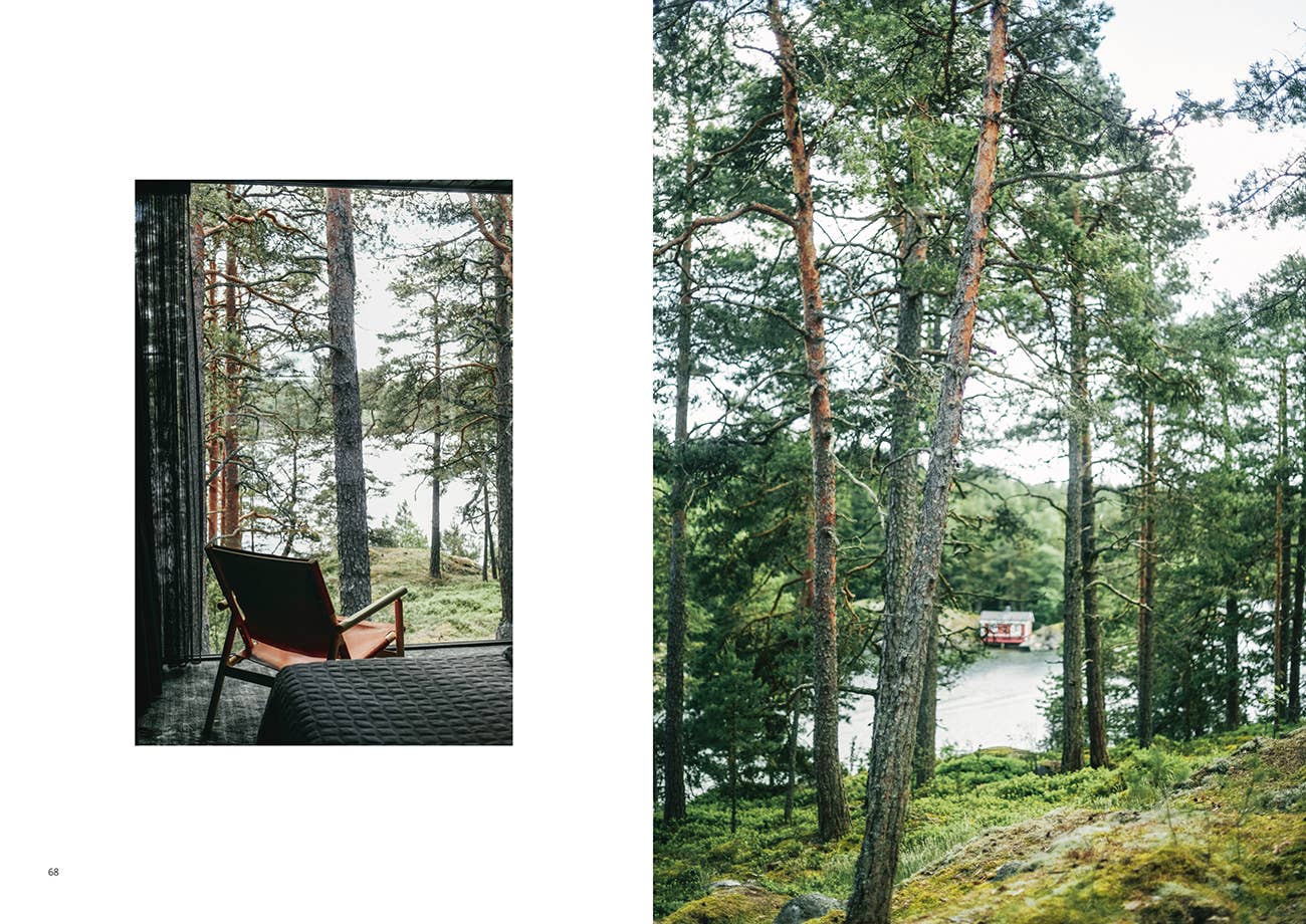 View from a cabin window into a forest with a lake in the background
