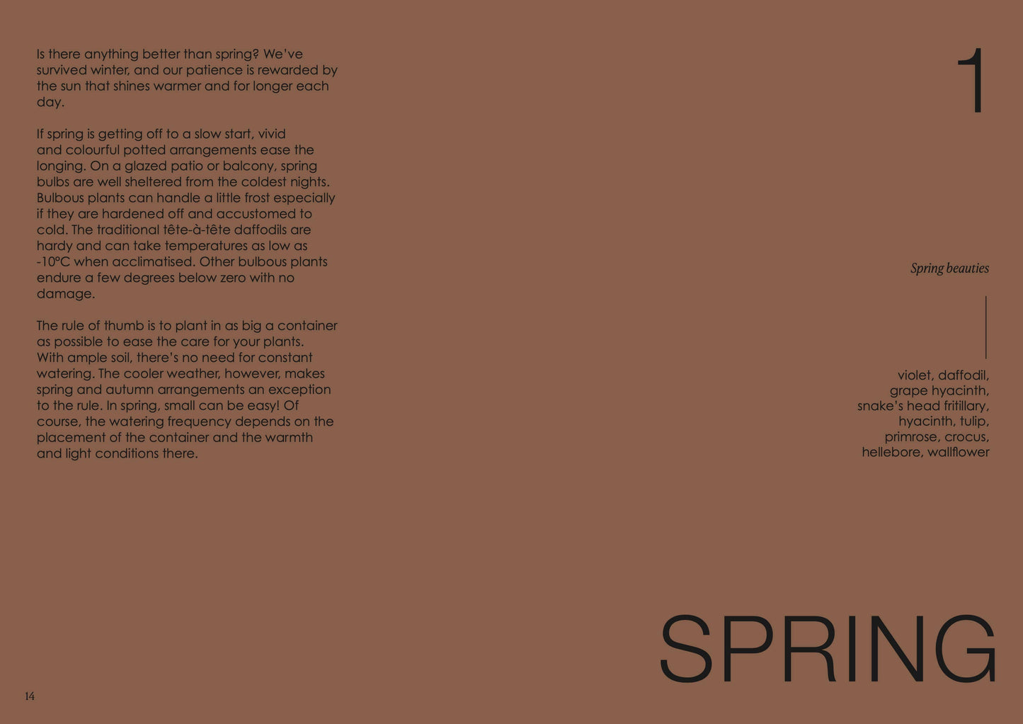 Text on a brown background with the word 'SPRING' at the bottom.