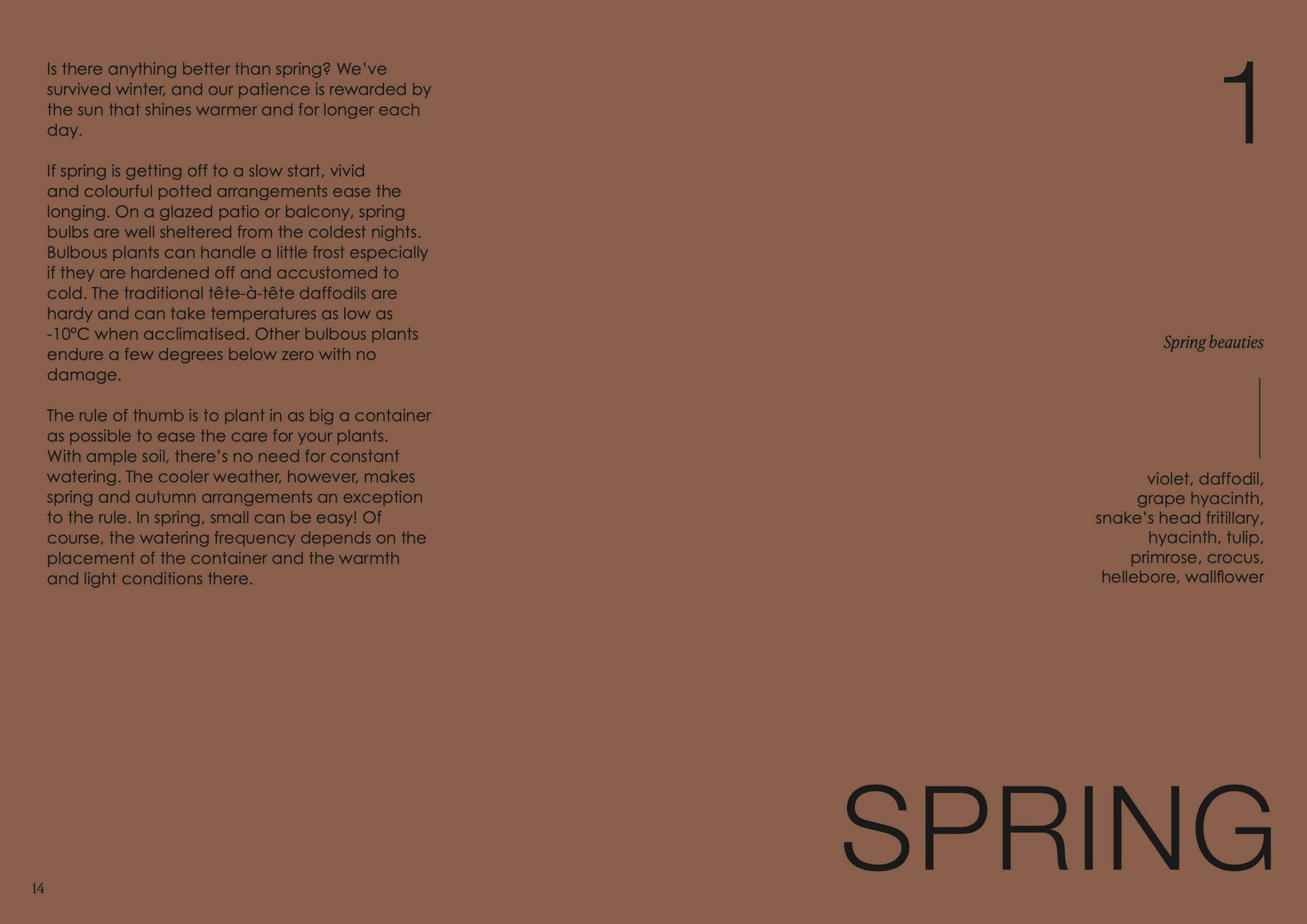 Text on a brown background with the word 'SPRING' at the bottom.