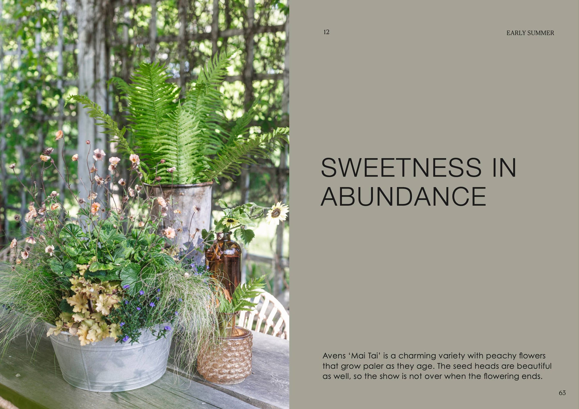 Decorative arrangement of plants on a table with a natural background