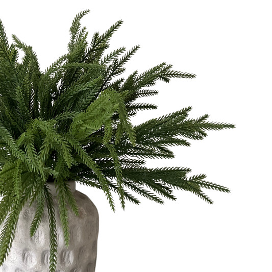 Faux Norfolk Pine Branches, Bunch
