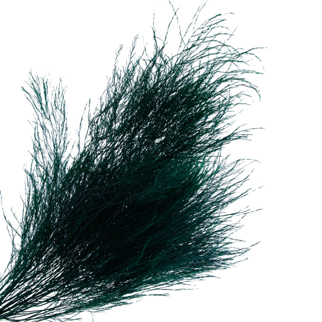 Dark Green Preserved Tree Fern | Textured Botanical Bunch