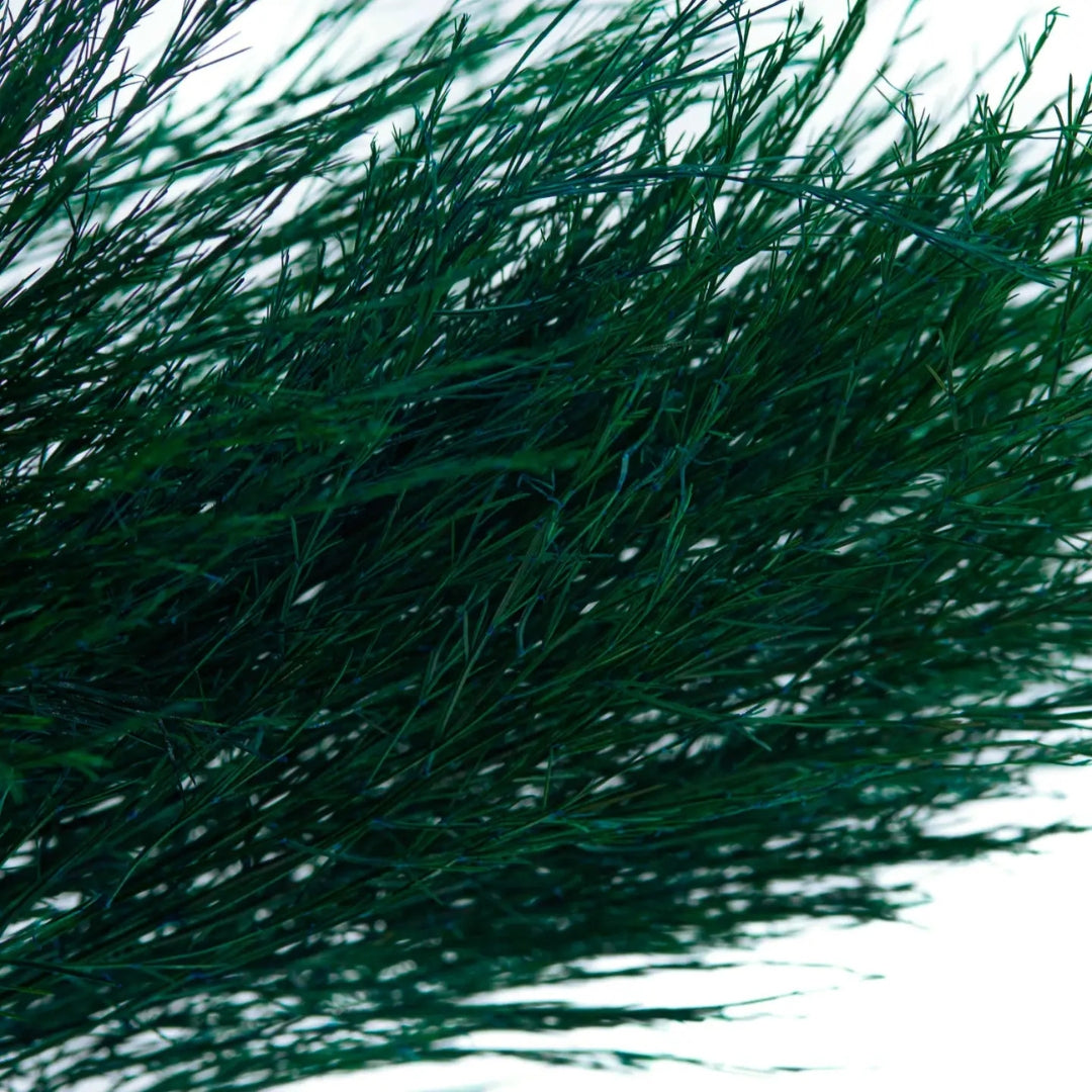 Dark Green Preserved Tree Fern | Textured Botanical Bunch