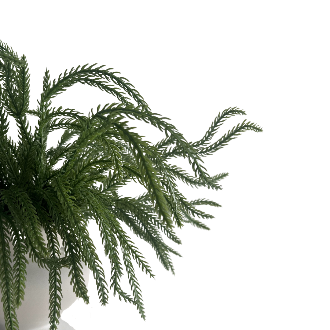 Faux Norfolk Pine Branches, Set of 4 Pieces