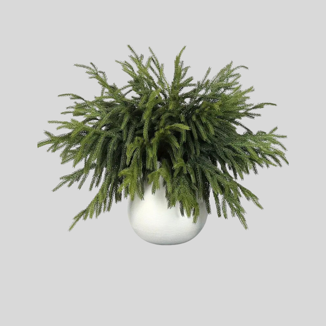 Faux Norfolk Pine Branches, Set of 4 Pieces