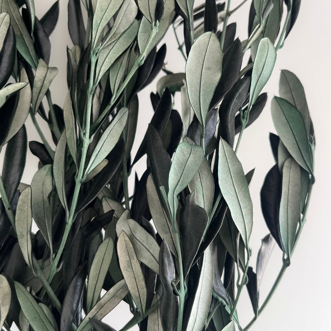 Preserved Italian Olive Branches (Bunch)