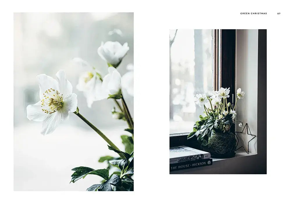 Table Book “Green Christmas”