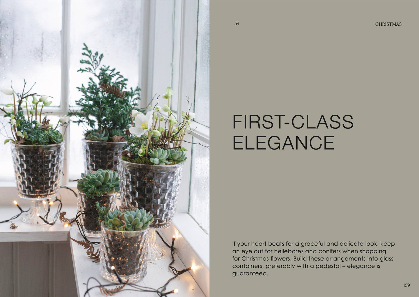 Decorative indoor plants in glass containers on a windowsill with text about first-class elegance.