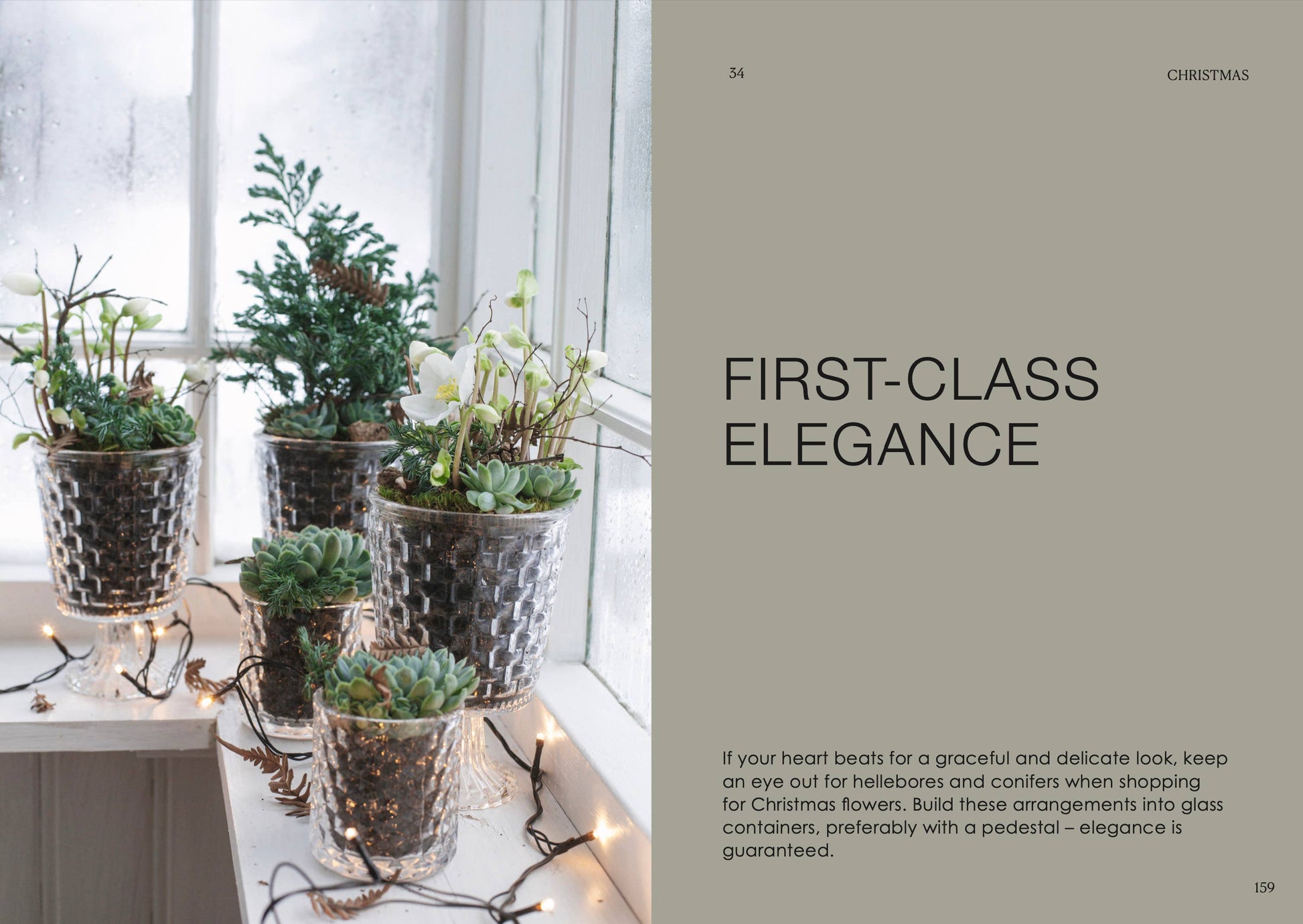 Decorative indoor plants in glass containers on a windowsill with text about first-class elegance.
