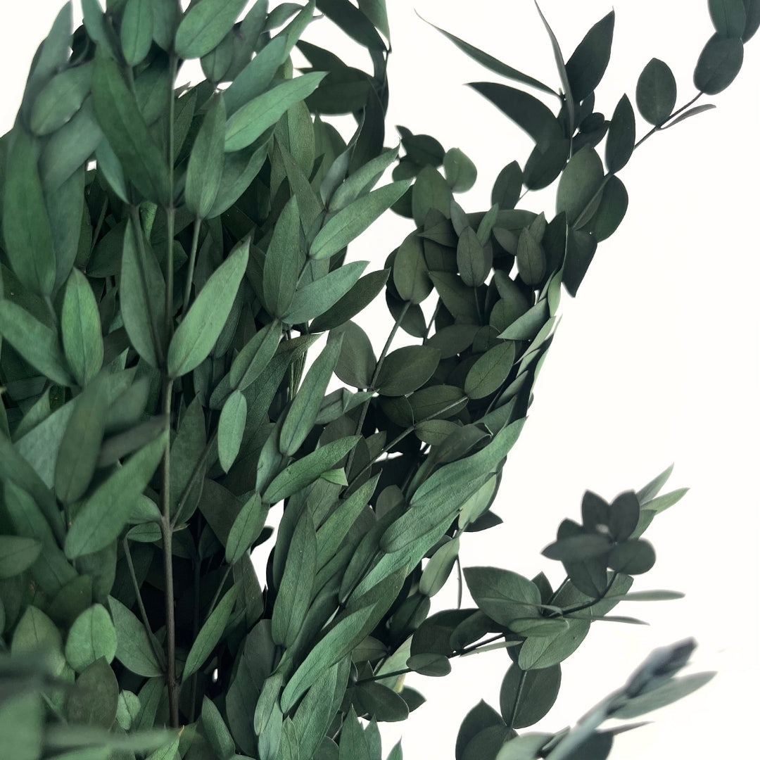 Preserved Green Eucalyptus Bunch