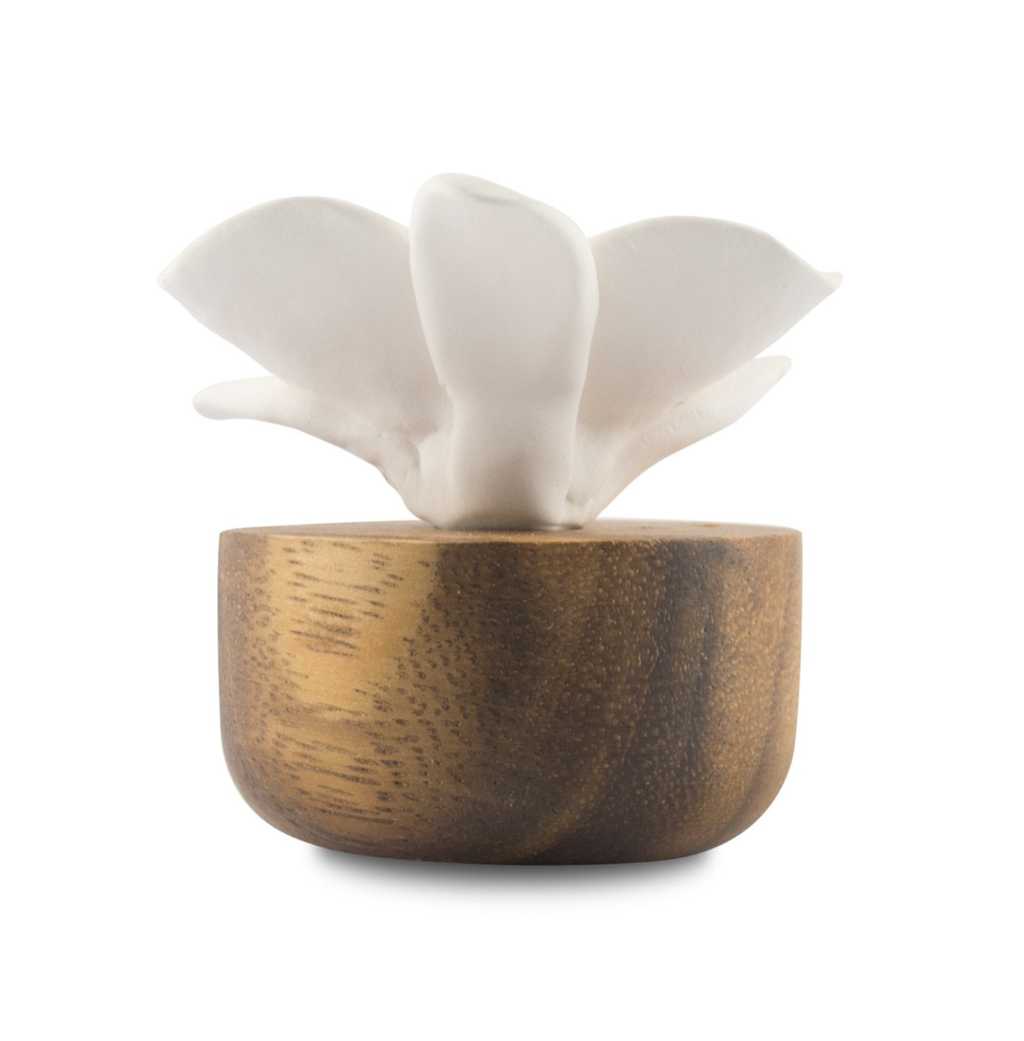 Diffuser perfume - Orchid flower