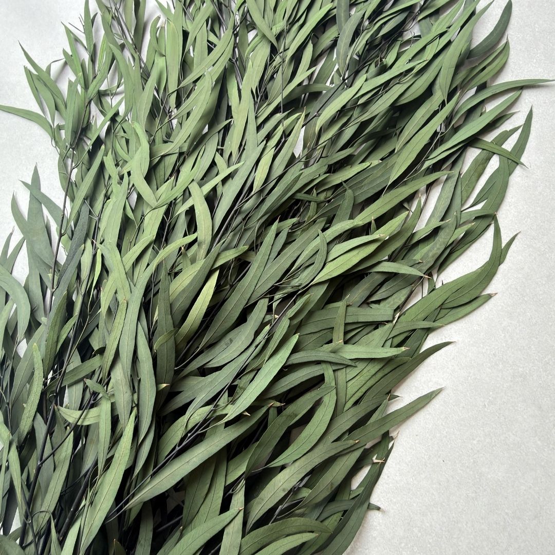 A bundle of artificial eucalyptus branches with long, slender green leaves, arranged diagonally on a light gray background.