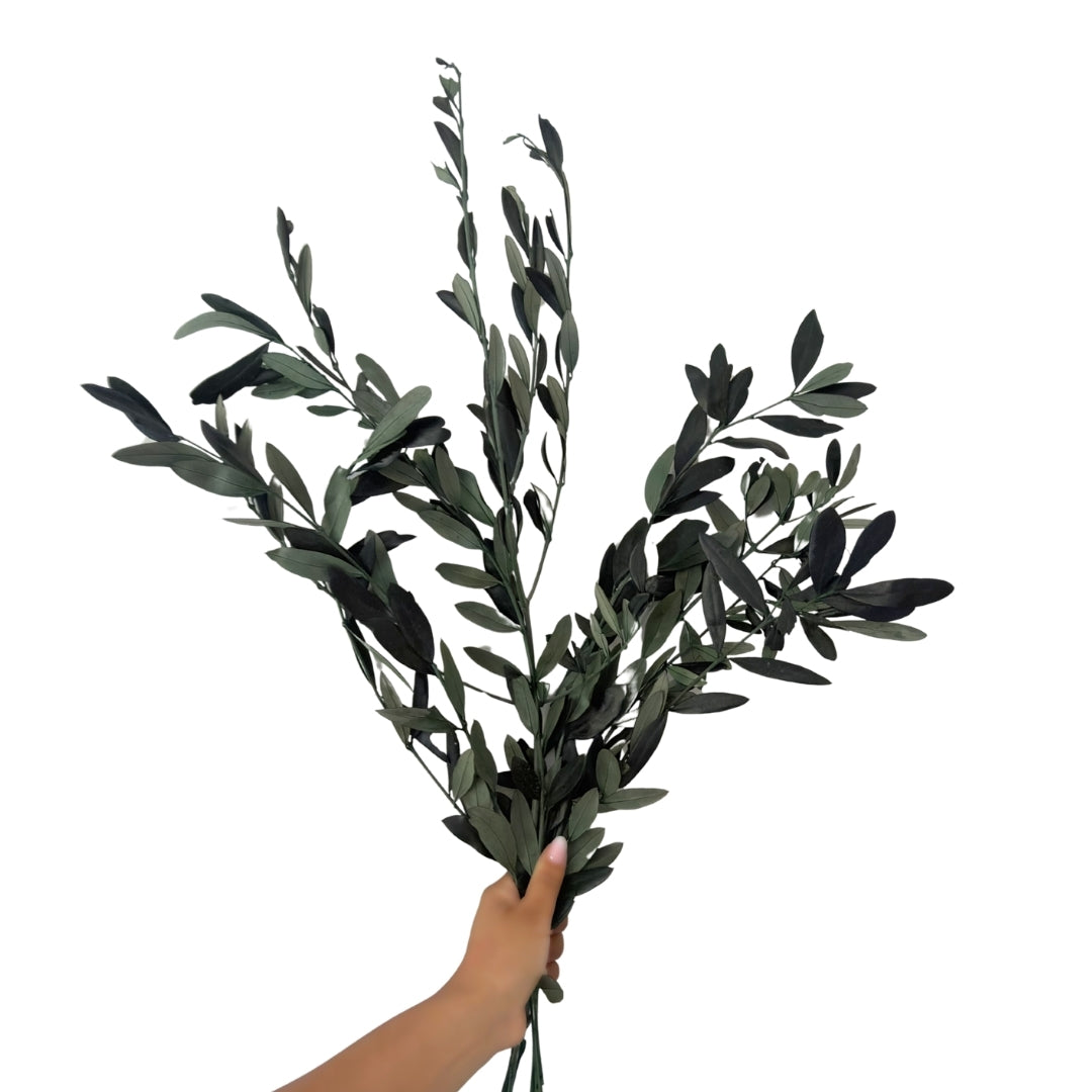 Preserved Italian Olive Branches | Mediterranean Botanical Bunch
