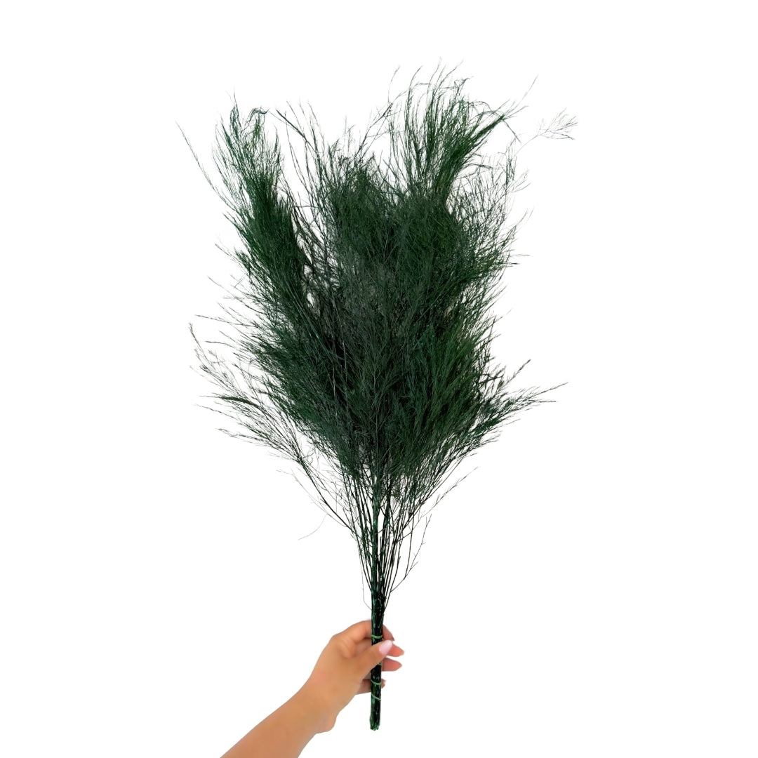 Dark Green Preserved Tree Fern | Textured Botanical Bunch