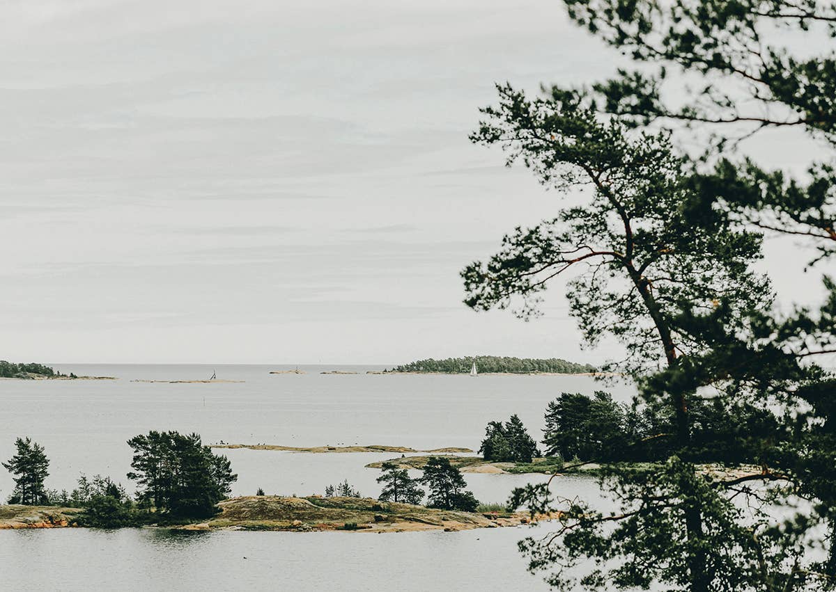 Landscape with trees and a body of water under an overcast sky