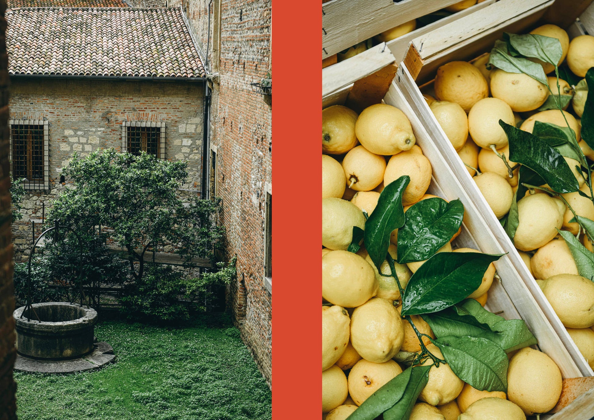 Collage of a stone building courtyard with greenery and a crate of lemons.