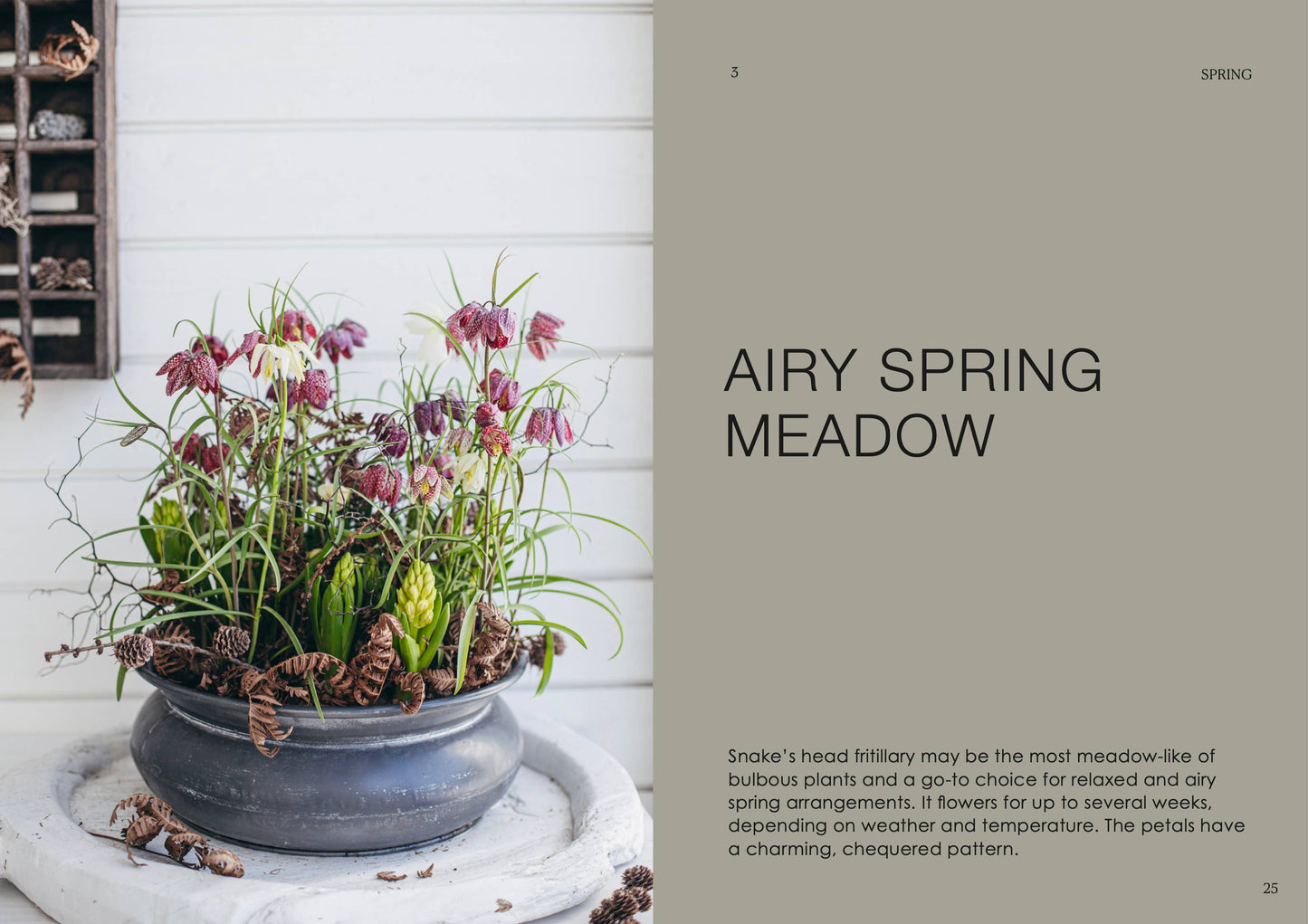 Potted plant arrangement with text on an airy spring meadow theme