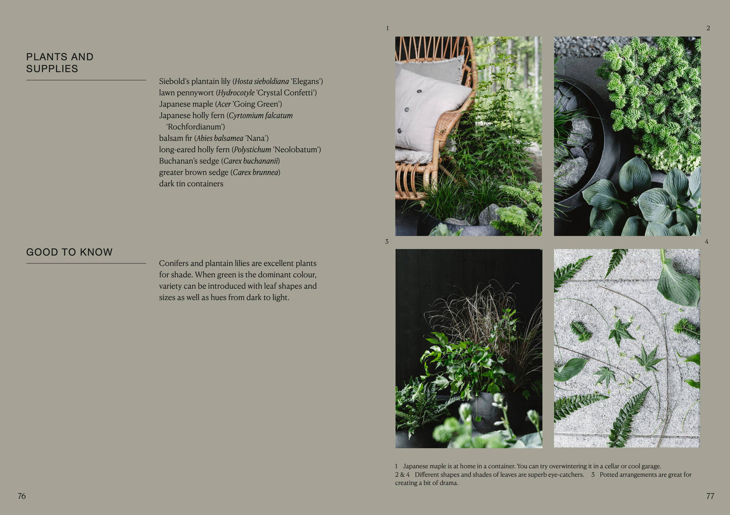 Page from a book or magazine featuring images of plants and supplies with text on plants and supplies.