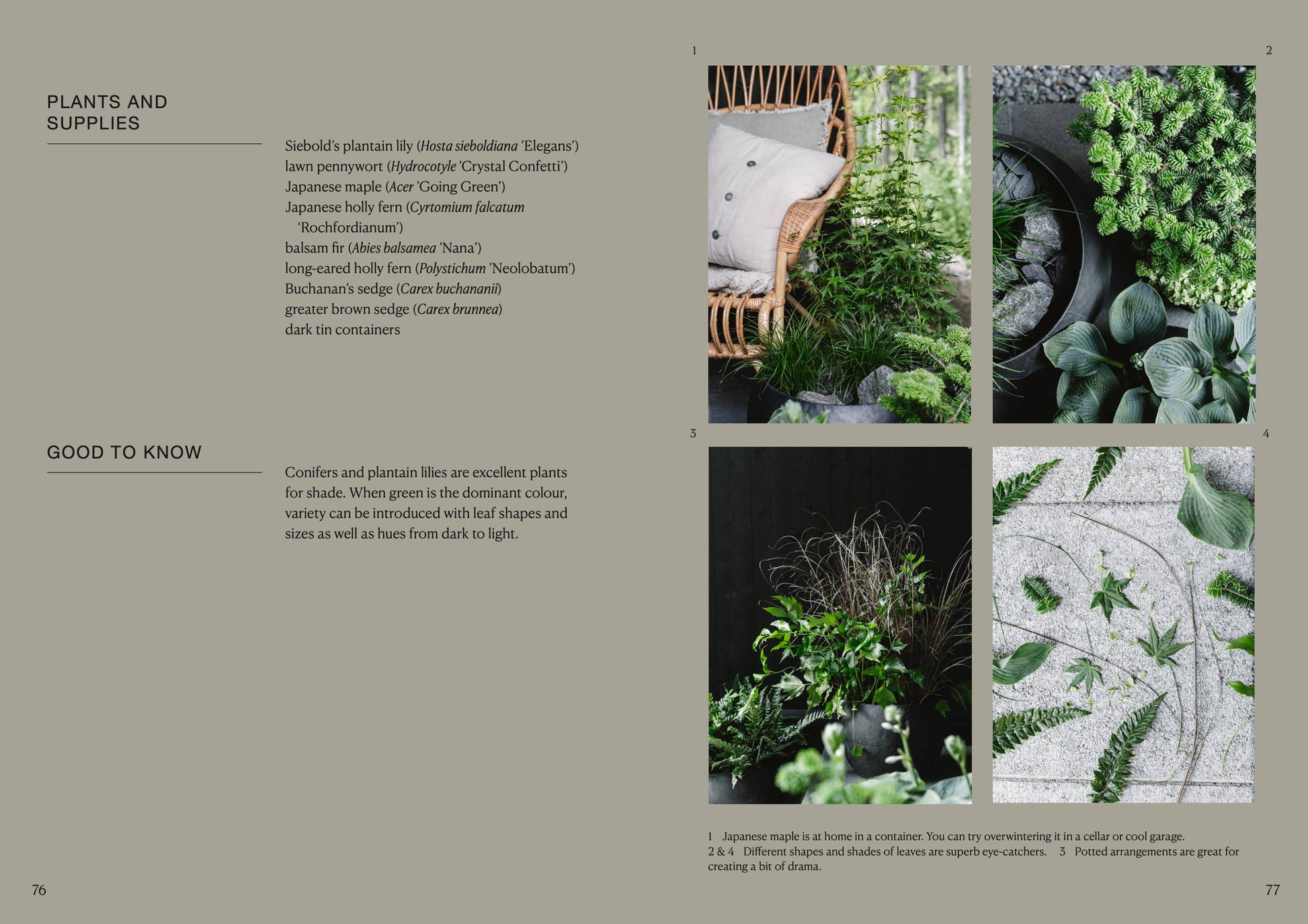 Page from a book or magazine featuring images of plants and supplies with text on plants and supplies.