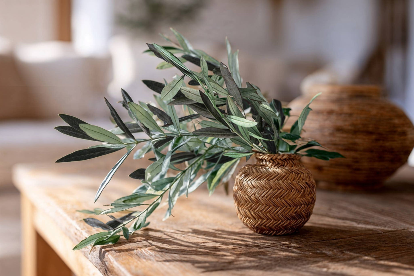 Preserved Italian Olive Branches | Mediterranean Botanical Bunch