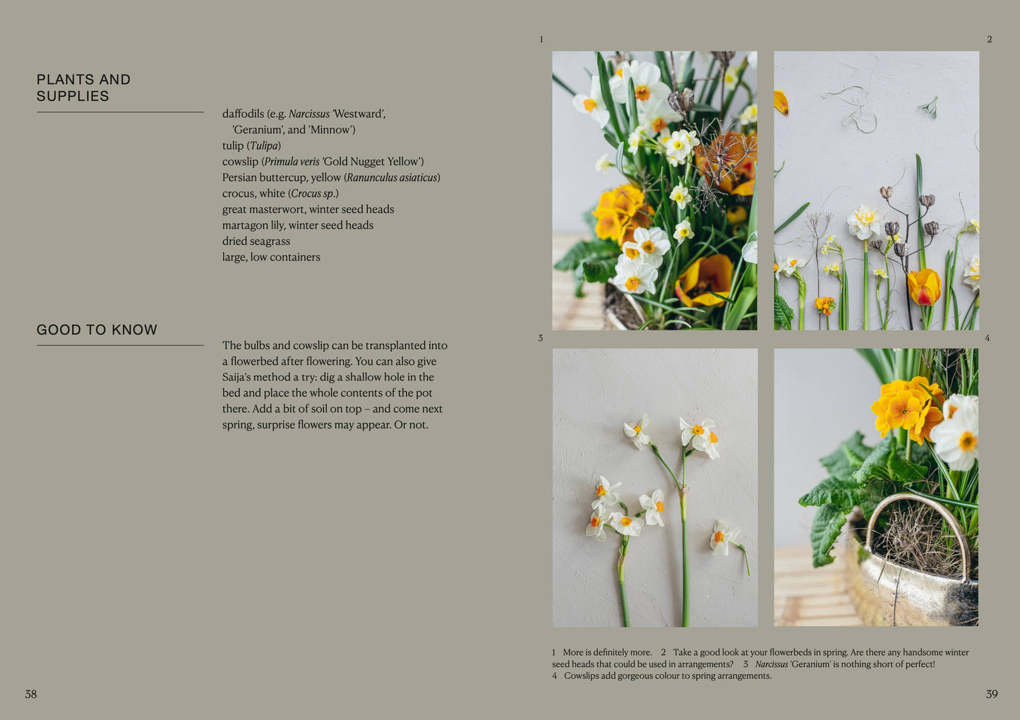 Page from a book or magazine featuring images of flowers and text on plants and supplies.
