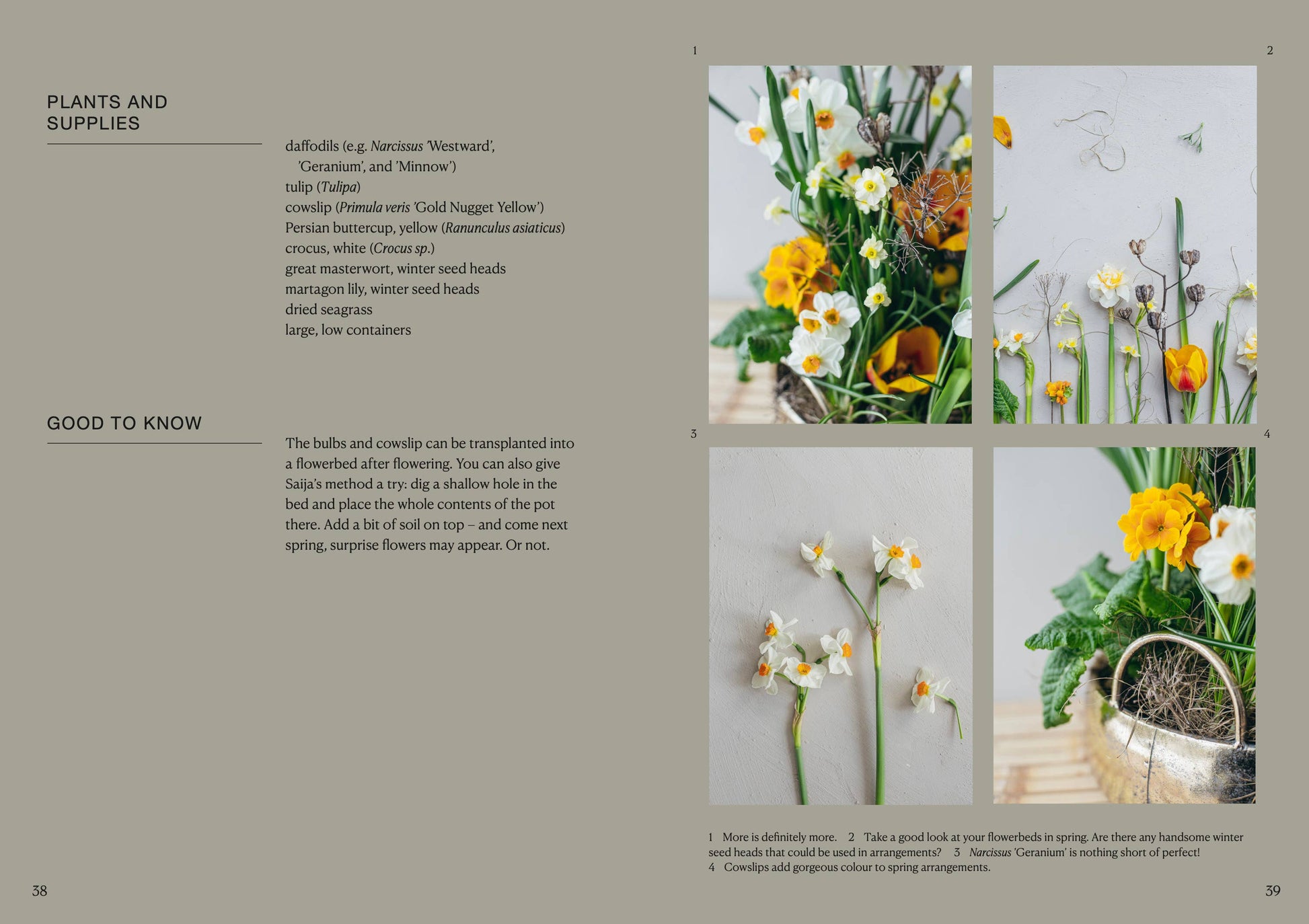 Page from a book or magazine featuring images of flowers and text on plants and supplies.