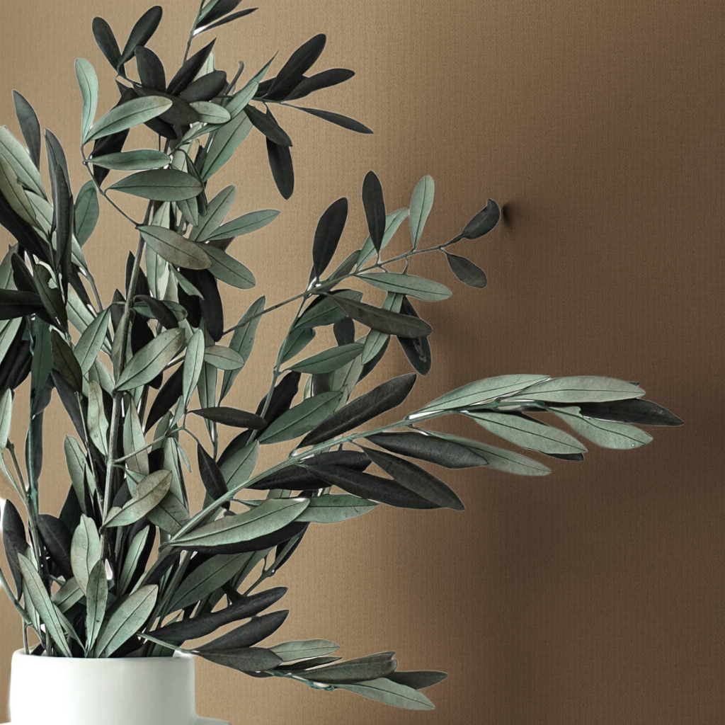 Olive Branches, Bunch. Preserved. Real greenery