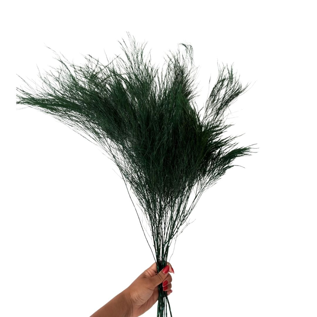 Video Dark Green Preserved Tree Fern | Textured Botanical Bunch